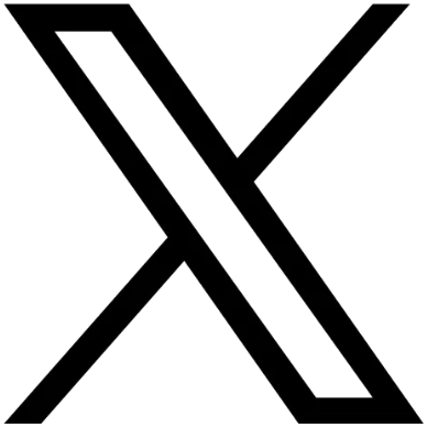 x logo